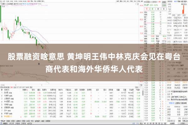 股票融资啥意思 黄坤明王伟中林克庆会见在粤台商代表和海外华侨华人代表