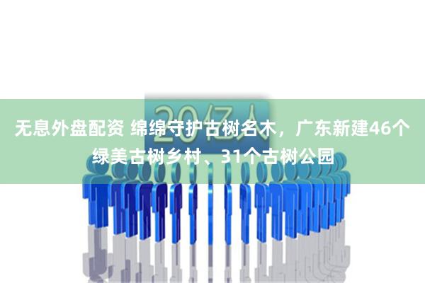 无息外盘配资 绵绵守护古树名木，广东新建46个绿美古树乡村、31个古树公园